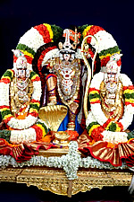 tirupatibalaji.jpg